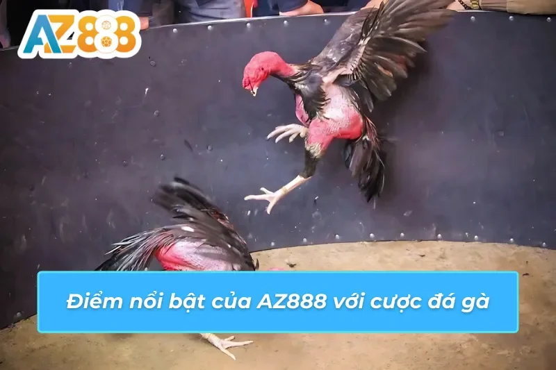 Yếu tố giúp đá gà AZ888 trở nên thành công và hút khách