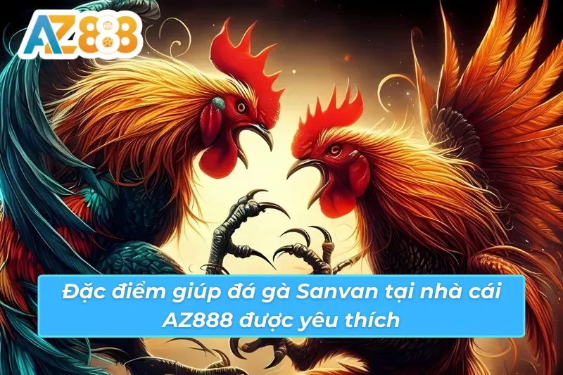 Điểm nổi bật giúp đá gà Savan AZ888 thu hút lượt truy cập khủng 