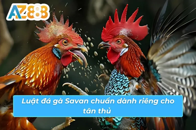 Quy định tham gia đá gà Savan AZ888 chuẩn bạn cần biết